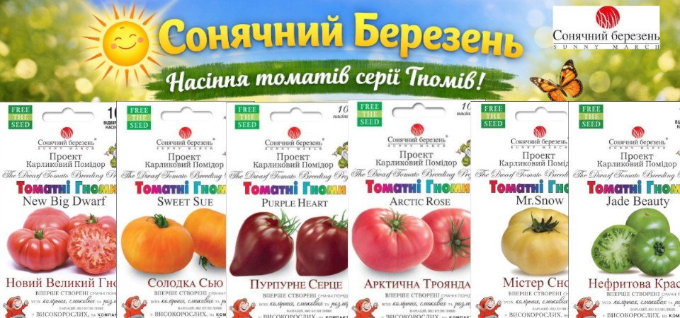 Томати-гноми