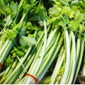 Сельдерей листовой