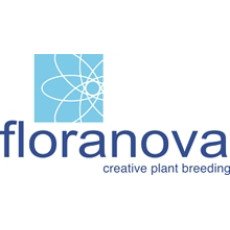 Насіння квітів Floranova