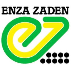 Семена производителя Enza Zaden (Энза Заден)