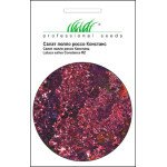 Салат Констанс /30 семян/ *Профессиональные семена*