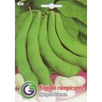 Фасоль спанья бьянко /20 г/ *Galassi sementi*