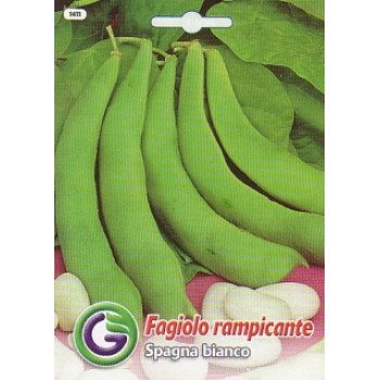 Квасоля спанья бьянко /20 г/ *Galassi sementi*