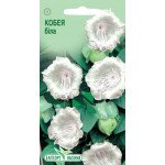 Кобея белая /5 семян/ *ЭлитСорт*