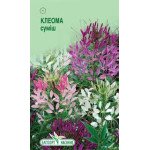 Клеома смесь /0,3 г/ *ЭлитСорт*