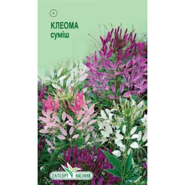 Насіння клеоми суміш /0,3 г/ *ЕлітСорт*