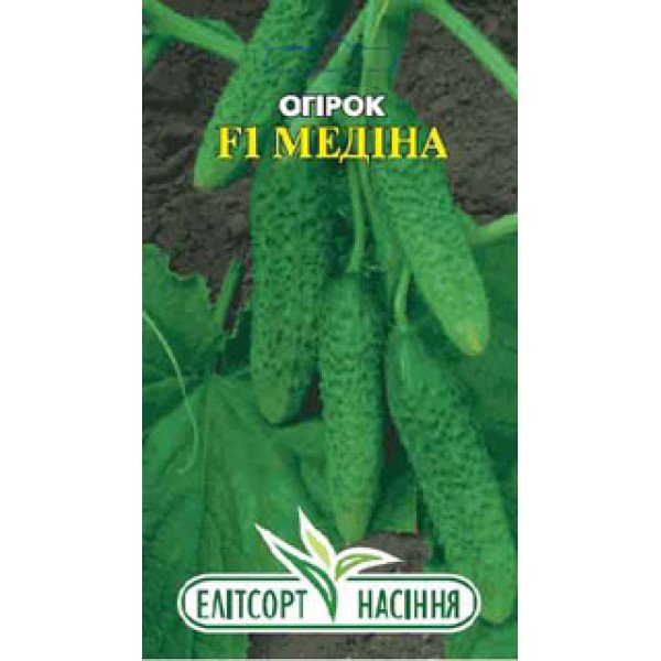 Семена огурца Медина F1 /10 семян/ *ЭлитСорт*