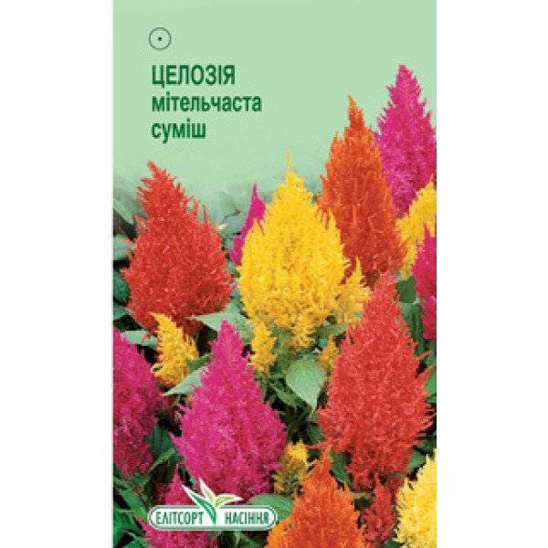 Семена целозии метельчатая смесь /0,2 г/ *ЭлитСорт*
