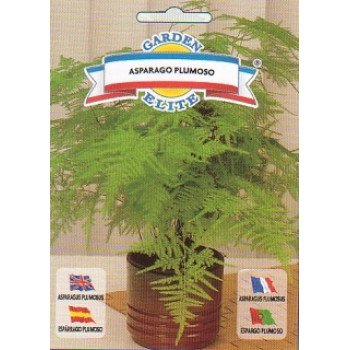 Аспарагуса перистий /0,5 г/ *Garden Elite*