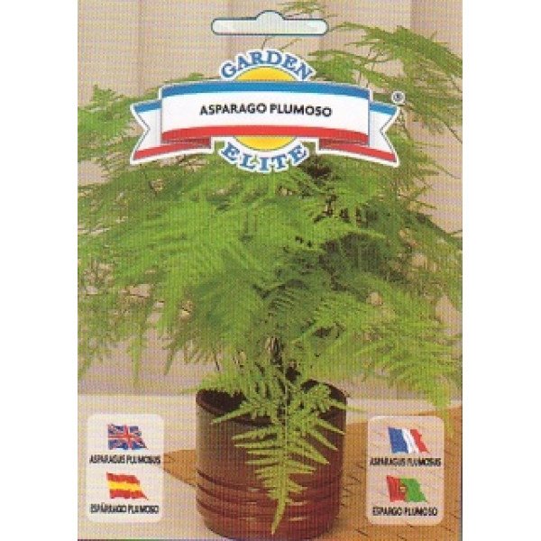 Аспарагуса перистий /0,5 г/ *Garden Elite*