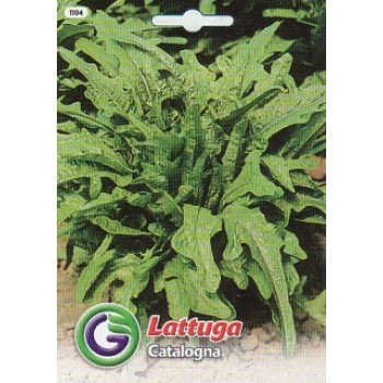 Салат Каталогна /6,5 г/ *Galassi sementi*