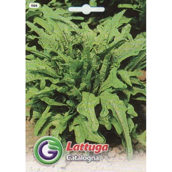 Насіння салату Каталогна /6,5 г/ *Galassi sementi*