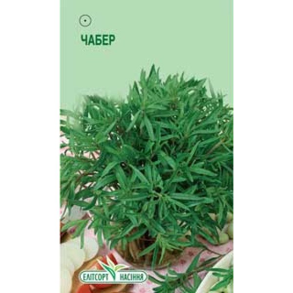 Насіння чаберу садового /0,2 г/ *ЕлітСорт*
