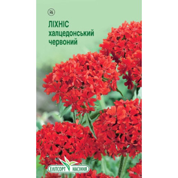 Насіння ліхніса халцедонського червоного /0,2 г/ *ЕлітСорт*