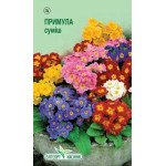 Примула суміш /0,05 г/ *ЕлітСорт*