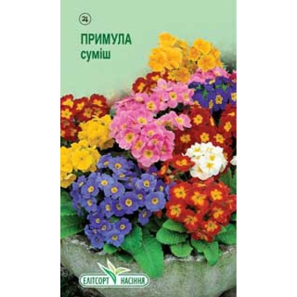 Насіння Примули суміш /0,05 г/ *ЭлитСорт*