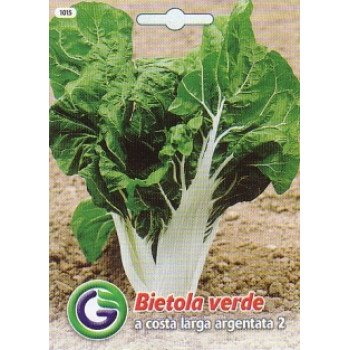 Мангольд Аржентата 2 /15 г/ *Galassi sementi*