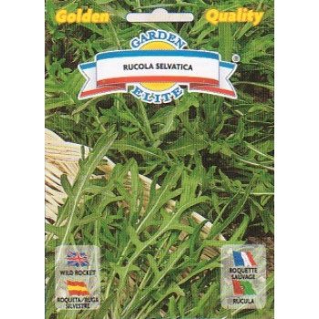 Рукола (індау) Сільва /2,5 г/ *Galassi sementi*