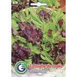 Суміш сортів салатів /6,5 г/ *Galassi sementi*