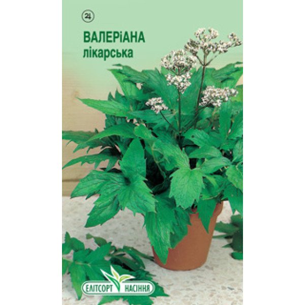Семена валерианы лекарственной /0,1 г/ *ЭлитСорт*