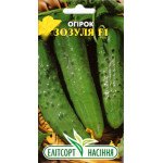 Огірок Зозуля F1 /10 насінин/ *ЕлітСорт*