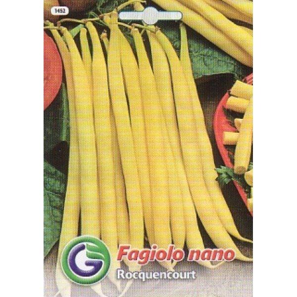 Насіння квасолі рокуенкорт /20 г/ *Galassi sementi*
