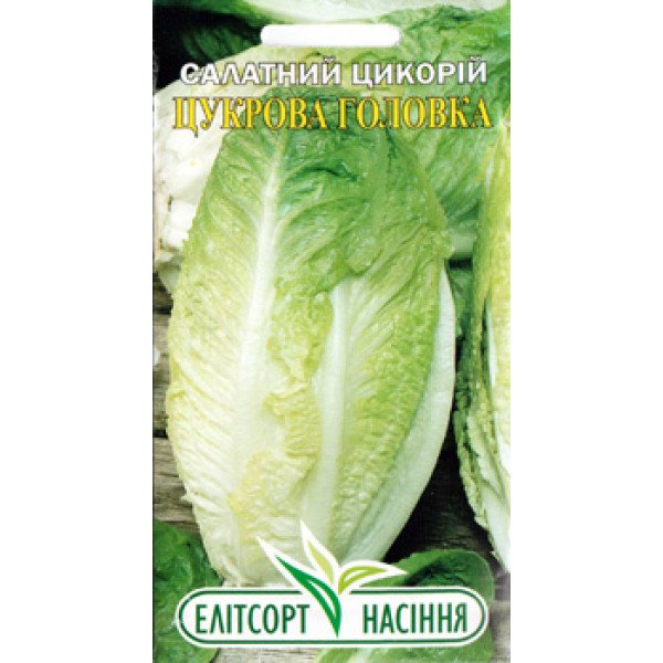 Насіння цикорного салату Цукрова головка /1 г/ *ЕлітСорт*