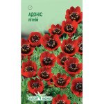 Адонис летний /0,3 г/ *ЭлитСорт*
