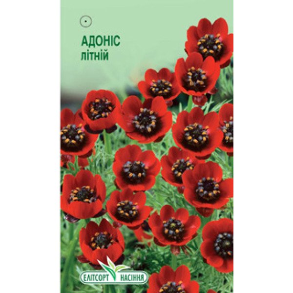 Семена адониса летнего /0,3 г/ *ЭлитСорт*