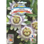 Пасифлора Кавалерська зірка /0,4 г/ *Garden Elite*