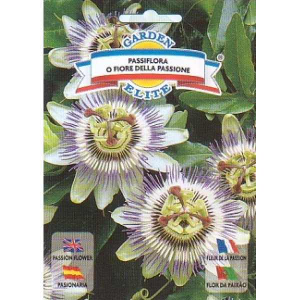 Пассифлора Кавалерская звезда /0,4 г/ *Garden Elite*