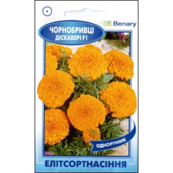 Чорнобривці Діскавері F1 помаранчеві /5 насінин/ *ЕлітСорт*