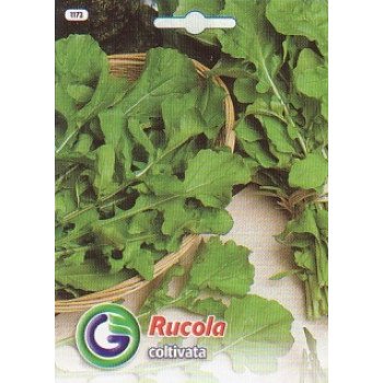 Рукола (індау) Кармен /15 г/ *Galassi sementi*