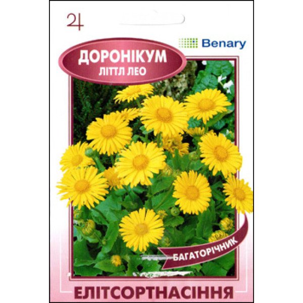 Насіння Доронікума Літтл Лео /5 насінин/ *ЕлітСорт*