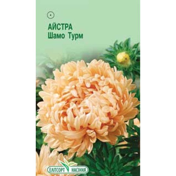 Насіння айстри Шамо Турм /0,2 г/ *ЕлітСорт*