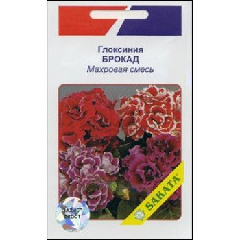 Глоксинія Брокад махрова суміш /10 насінин/ *АгроПак*