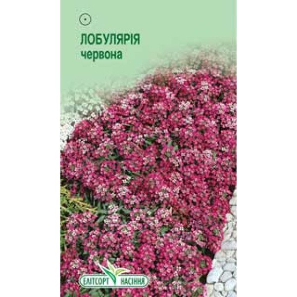 Семена лобулярии красная /0,2 г/ *ЭлитСорт*