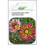 Газанія блискуча низькоросла суміш /0,1 г/ *Професійне насіння*