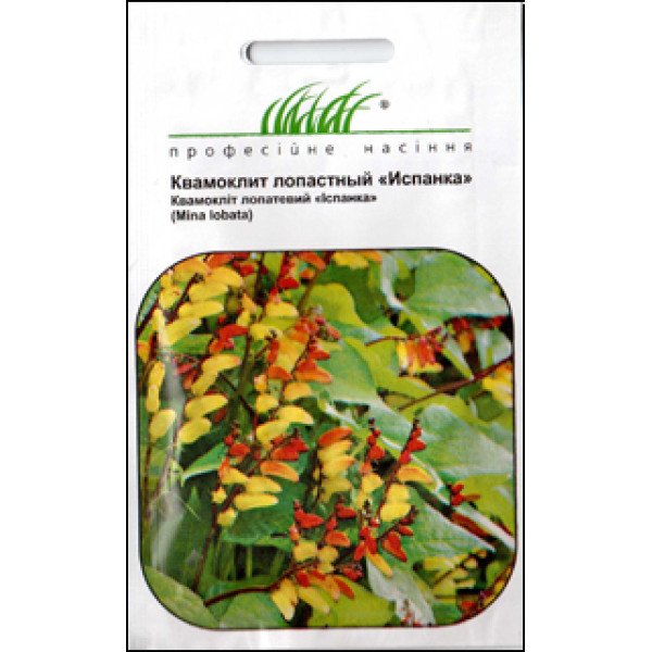 Семена квамоклита Испанка /0,2 г/ *Профессиональные семена*