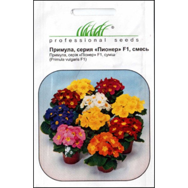 Насіння примули Піонер F1 суміш /10 насінин/ *Професійне насіння*