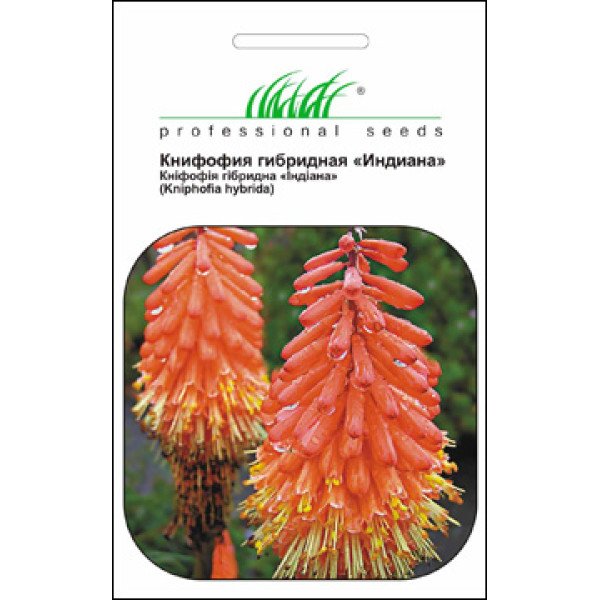 Насіння кніфофії гібридної Індіана /0,2 г/ *Професійне насіння*