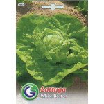 Салат Вайт бостон /6,5 г/ *Galassi sementi*