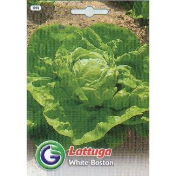 Салат Вайт бостон /6,5 г/ *Galassi sementi*