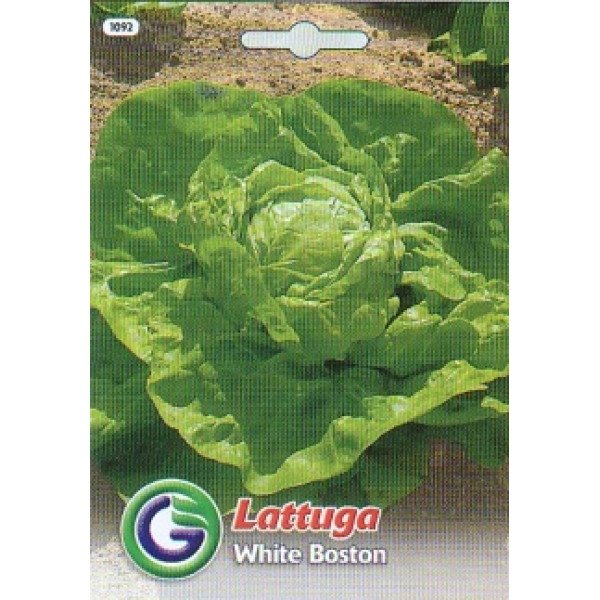 Семена салата Вайт бостон /6,5 г/ *Galassi sementi*