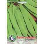 Фасоль супермаркони /20 г/ *Galassi sementi*