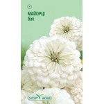 Цинія біла /0,5 г/ *ЕлітСорт*