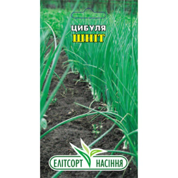 Насіння шніт-цибулі /1 г/ *ЕлітСорт*