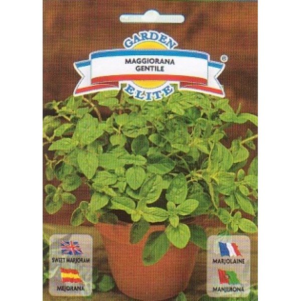 Насіння майорану Маггіорана джентіле /1 г/ *Galassi sementi*