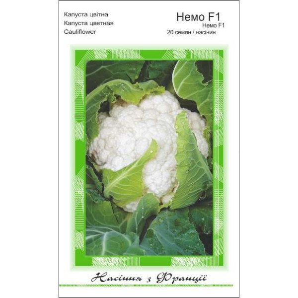 Насіння капусти цвітної Немо F1 /20 насінин/ *АгроПак*