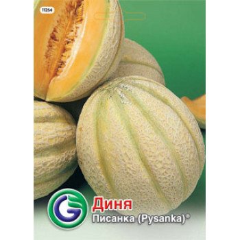 Диня Писанка /4 г/ *Galassi sementi*